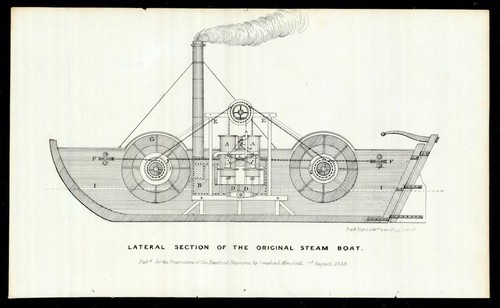 Lateral section the - lateral, of