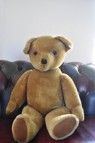 Vintage 1950s pedigree - vintage,