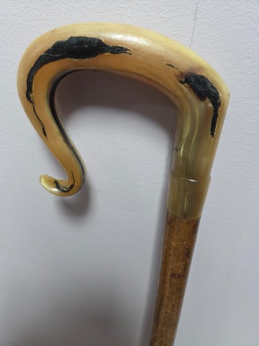 Rams horn shepherds - shepherds, crook