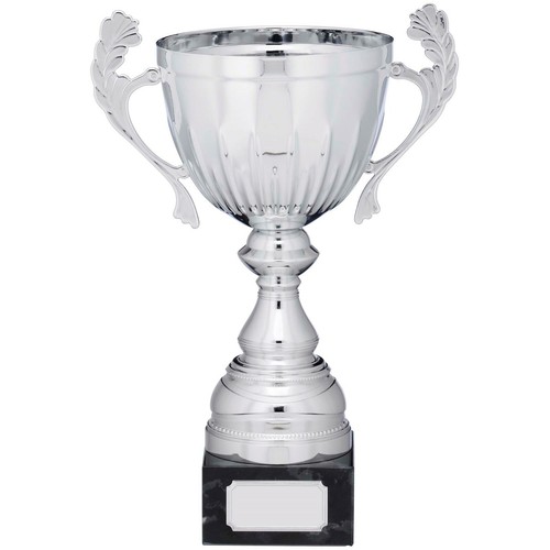 Silver presentation cup with - silver,