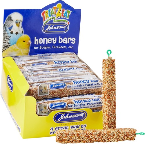 Johnsons budgie parakeet - johnsons, honey
