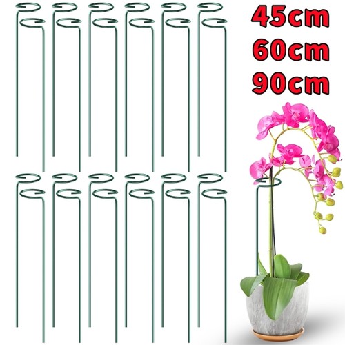 100pcs plant support - plant,