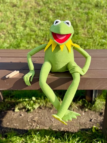 Kermit the frog - frog, full