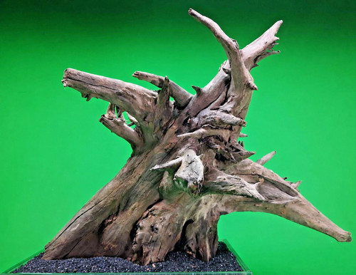 Large corbo root aquarium - large,