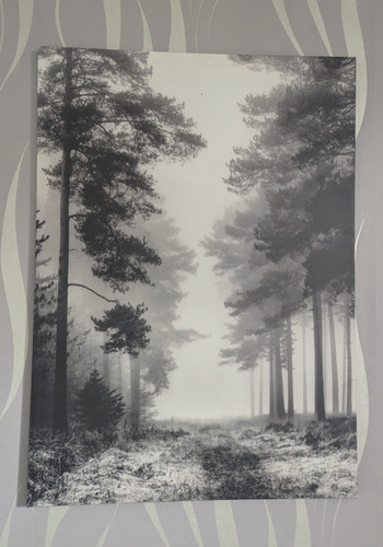 Ikea pjatteryd canvas - canvas, misty