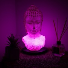 Buddha Bust Lamp Cherry Pink