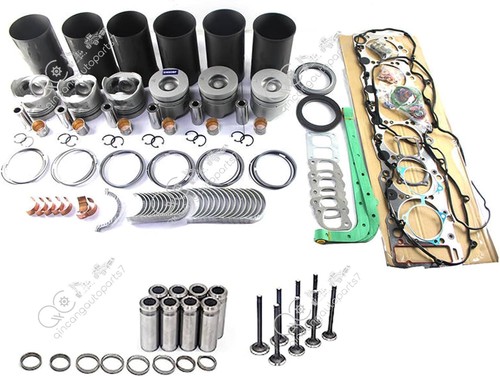 Overhaul rebuild kit for - overhaul, hino