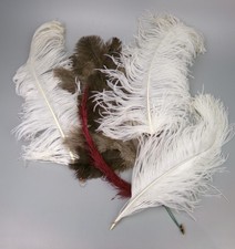 Ostrich Feather lot for