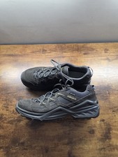 Lowa Men's Sirkos Evo GTX Lo