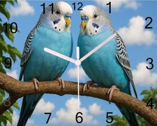 budgie,wall hanging clock