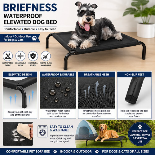 High raised dog - dog, bed