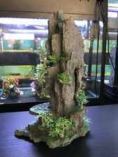 LARGE TALL ROCK MOUNTAIN FISH