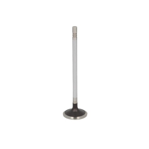 Intake valve fits - 1x, fits: