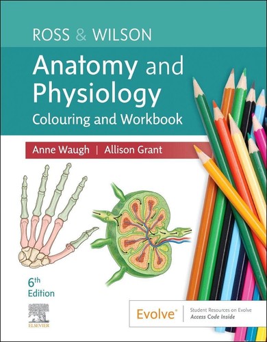 Ross wilson anatomy and - &,