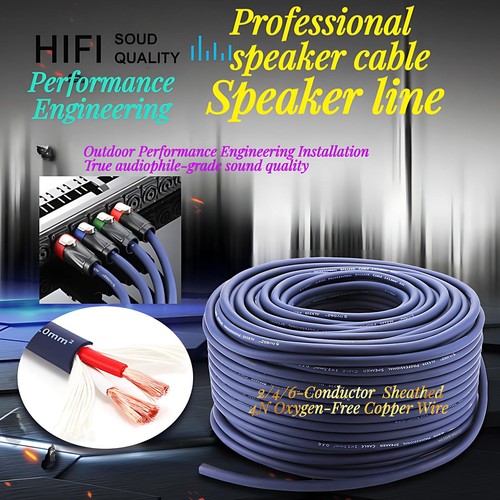 Professional loud speaker - professional,
