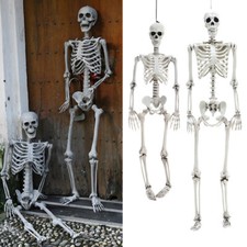 HALLOWEEN POSEABLE SKELETON HUMAN SKELETON LIFE SIZE 6FT 5FT TALL DECORATION Pro