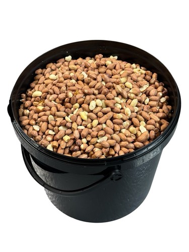 Whole peanuts fresh - peanuts,