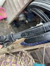 Black Grackle Pony Sized