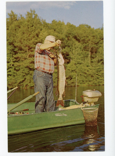 Fisherman boat caught - fisherman, in