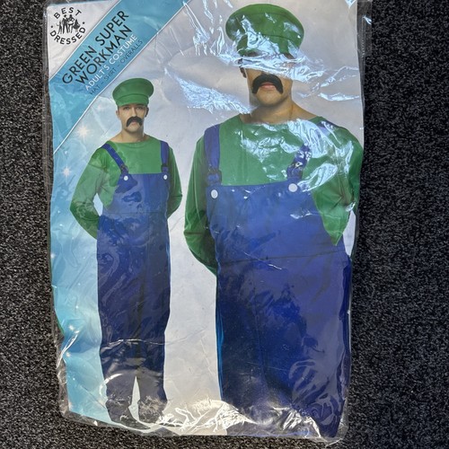 Luigi costume adult - luigi,