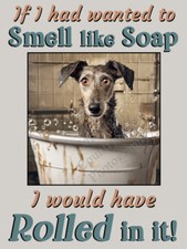 Lurcher Greyhound Whippet pet