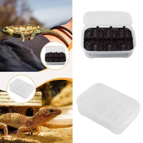 Reptile breeding box egg - box,