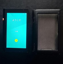 Pioneer XDP-300R Portable