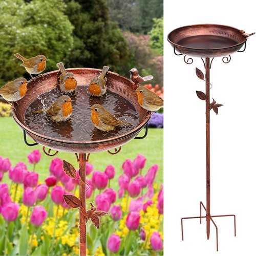 Metal bird bath for - bird,