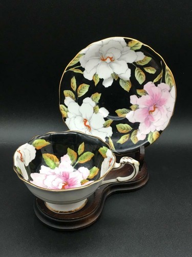 Paragon pink white gardenia - paragon,