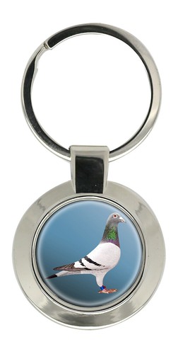 Racing pigeon key ring - key,