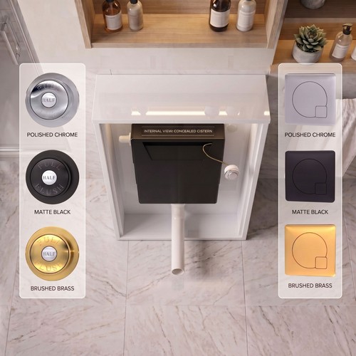 Dual flush concealed cistern - concealed, &