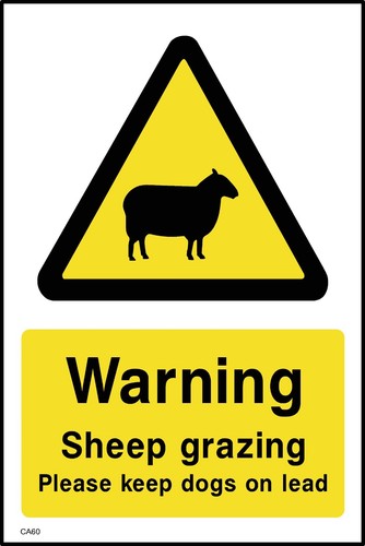 Warning sheep grazing - warning,
