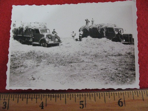 World war ww2 original photo - world,