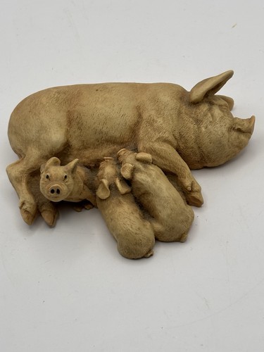 Castagna italy pig piglets - &,