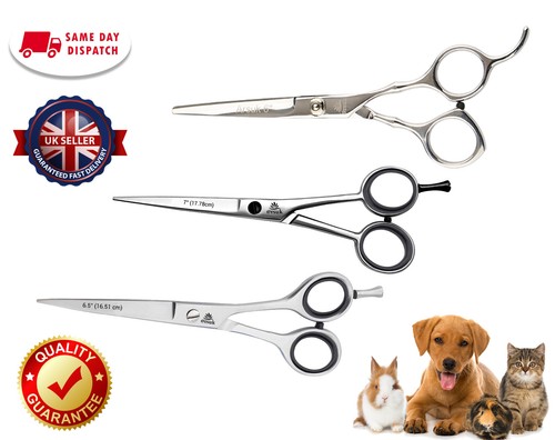 Hair cutting scissors pet dog - hair,
