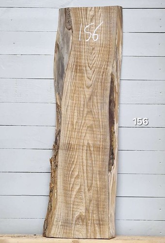 Elm live edge - live, timber