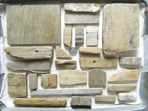 Driftwood pieces flat - driftwood, side