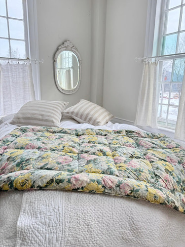 60x37 french eiderdown feather - french,