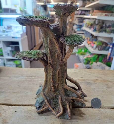 Medium twisted gnarly - medium,
