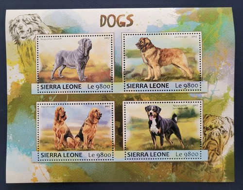 Sierra leone 2017 - sierra,