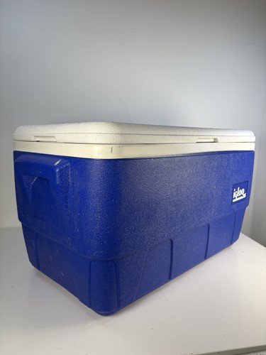 Igloo cool box - cool, vintage