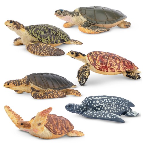 Toymany sea turtle animal - turtle,