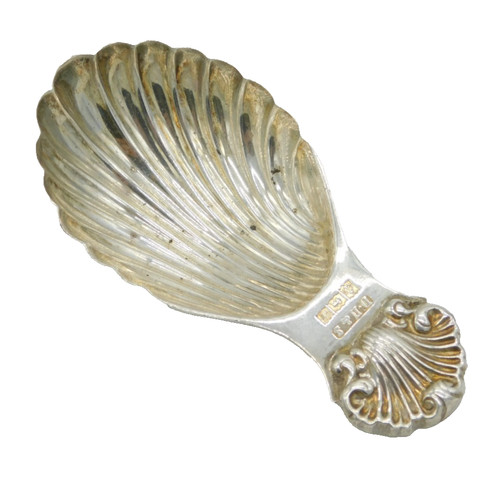 Sterling silver shell - sterling,