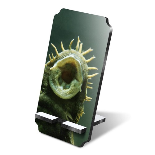 Mdf mobile phone stand - phone,
