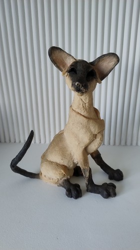 Country artists siamese cat - siamese,
