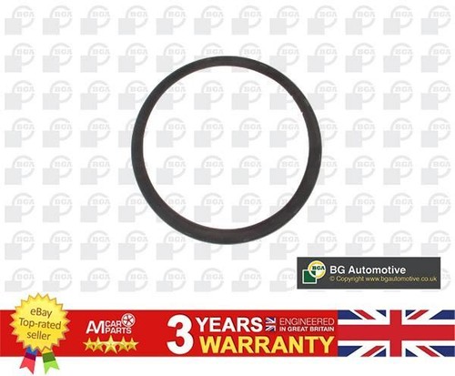 Crankshaft seal for jaguar - crankshaft,