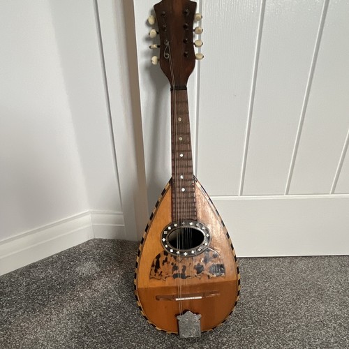 Bowl back mandolin - mandolin, 8-string