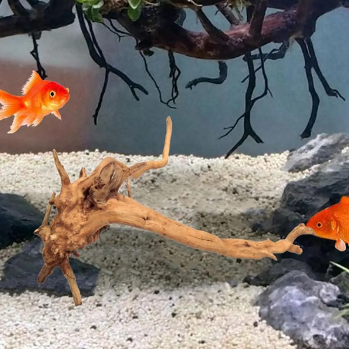 Large natural aquarium - natural,