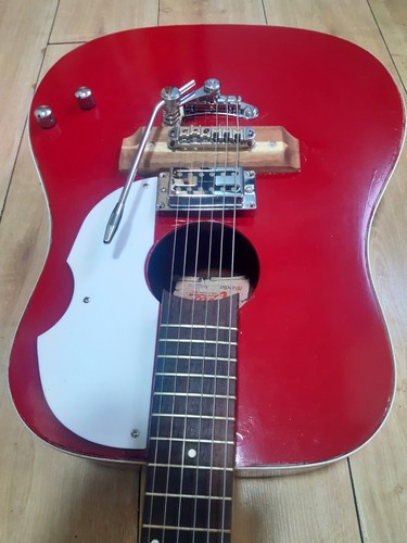 Eko vintage custom - eko,