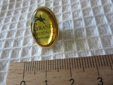 GRAND NATIONAL AINTREE gold